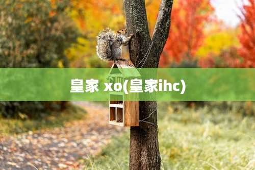 皇家 xo(皇家ihc)