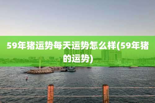 59年猪运势每天运势怎么样(59年猪的运势)