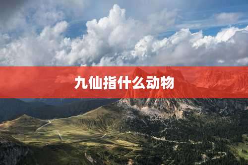 九仙指什么动物