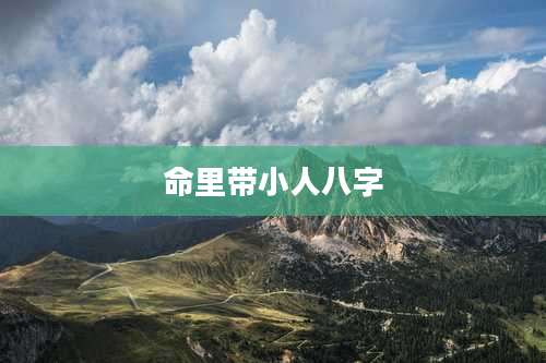 命里带小人八字