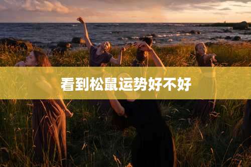 看到松鼠运势好不好