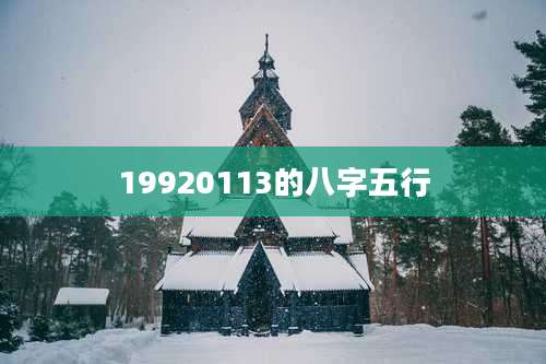 19920113的八字五行