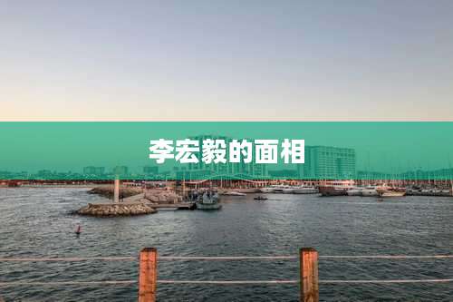 李宏毅的面相