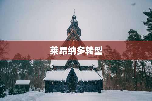 莱昂纳多转型