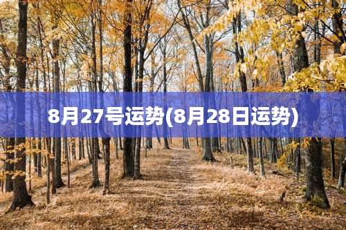 8月27号运势(8月28日运势)