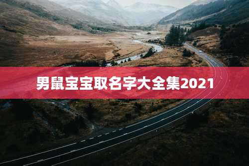 男鼠宝宝取名字大全集2021