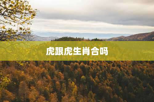 虎跟虎生肖合吗