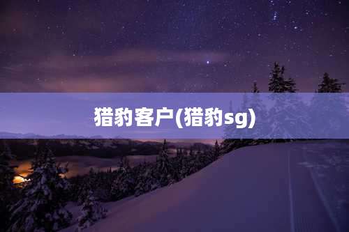 猎豹客户(猎豹sg)