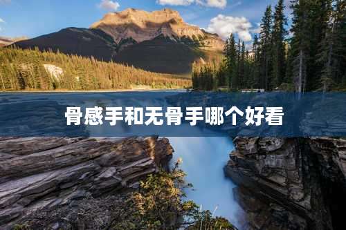 骨感手和无骨手哪个好看