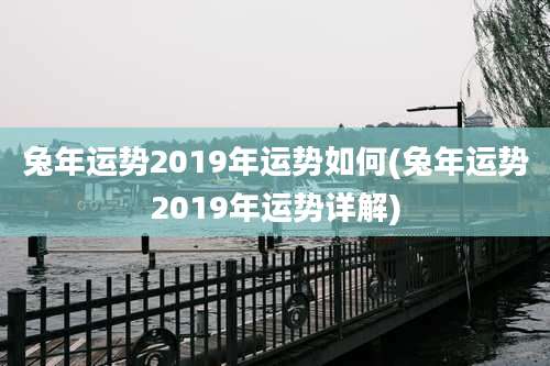 兔年运势2019年运势如何(兔年运势2019年运势详解)