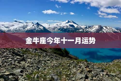 金牛座今年十一月运势