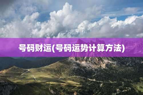 号码财运(号码运势计算方法)