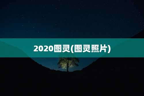 2020图灵(图灵照片)