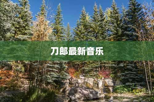 刀郎最新音乐