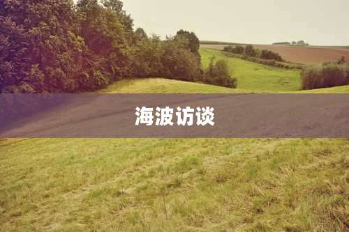 海波访谈