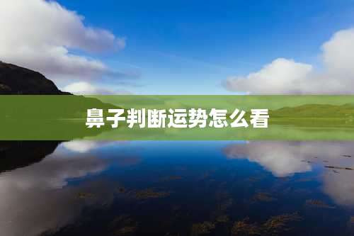 鼻子判断运势怎么看