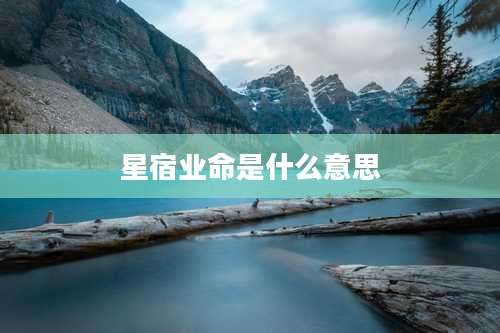 星宿业命是什么意思