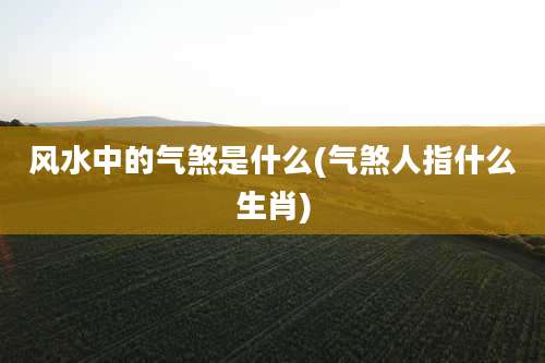 风水中的气煞是什么(气煞人指什么生肖)