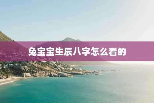 兔宝宝生辰八字怎么看的