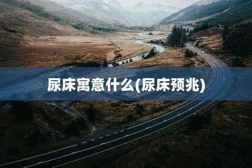 尿床寓意什么(尿床预兆)