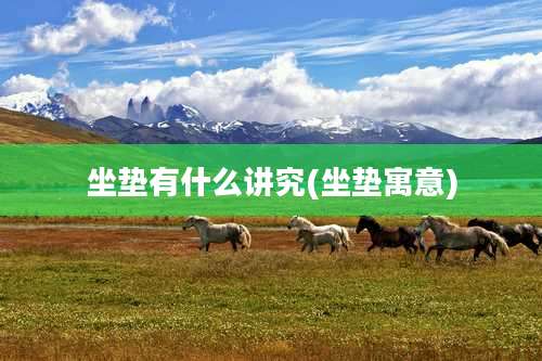 坐垫有什么讲究(坐垫寓意)