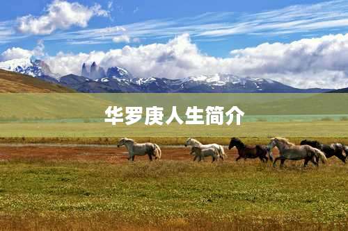 华罗庚人生简介