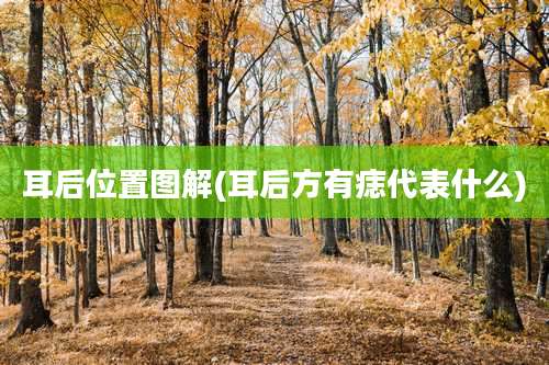 耳后位置图解(耳后方有痣代表什么)