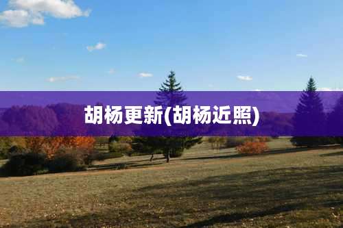 胡杨更新(胡杨近照)