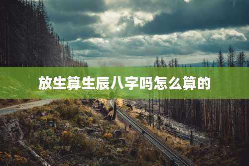 放生算生辰八字吗怎么算的