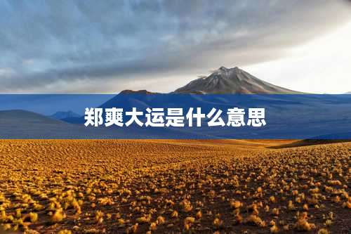 郑爽大运是什么意思