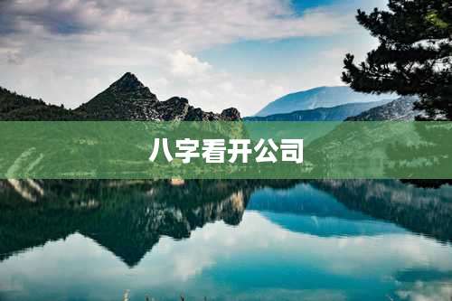 八字看开公司
