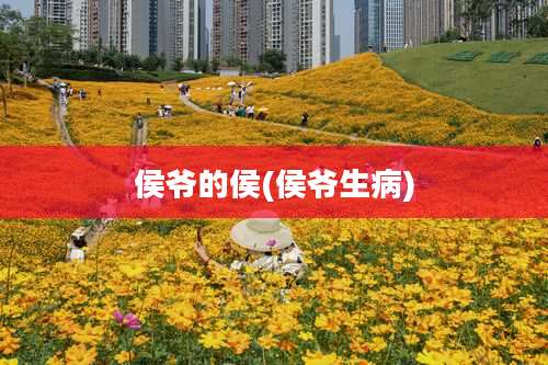 侯爷的侯(侯爷生病)