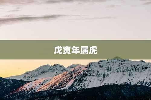 戊寅年属虎