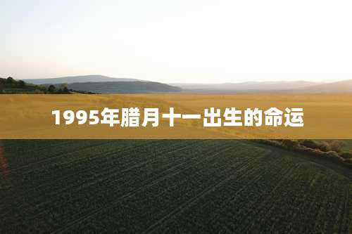 1995年腊月十一出生的命运