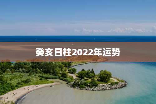 癸亥日柱2022年运势