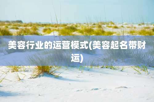 美容行业的运营模式(美容起名带财运)