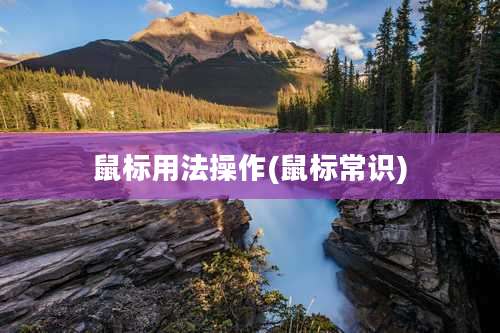 鼠标用法操作(鼠标常识)