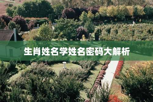 生肖姓名学姓名密码大解析