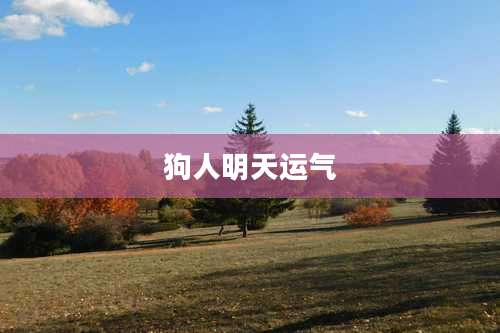 狗人明天运气
