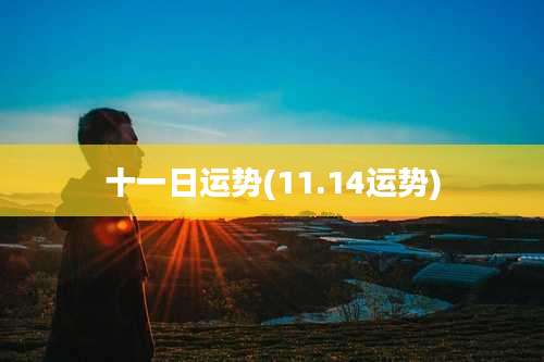 十一日运势(11.14运势)