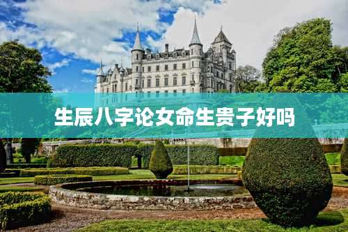 生辰八字论女命生贵子好吗