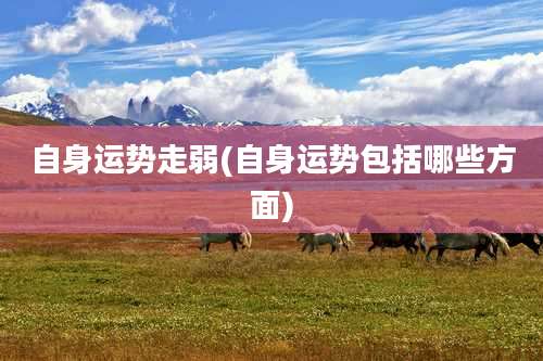 自身运势走弱(自身运势包括哪些方面)