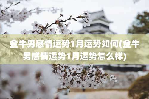 金牛男感情运势1月运势如何(金牛男感情运势1月运势怎么样)