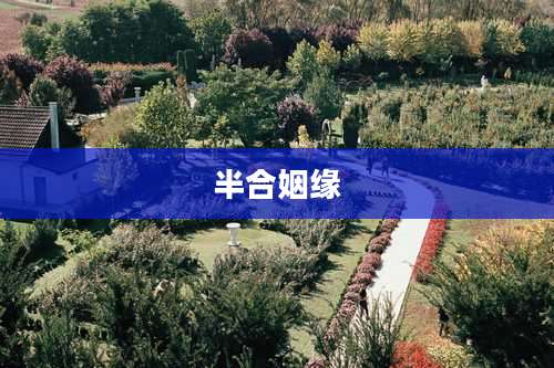 半合姻缘
