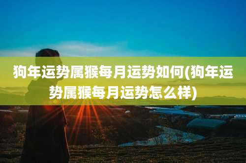 狗年运势属猴每月运势如何(狗年运势属猴每月运势怎么样)