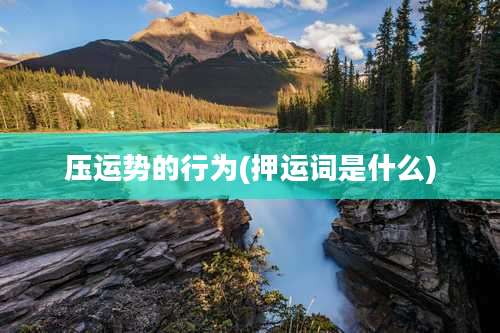 压运势的行为(押运词是什么)