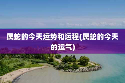 属蛇的今天运势和运程(属蛇的今天的运气)