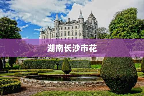 湖南长沙市花
