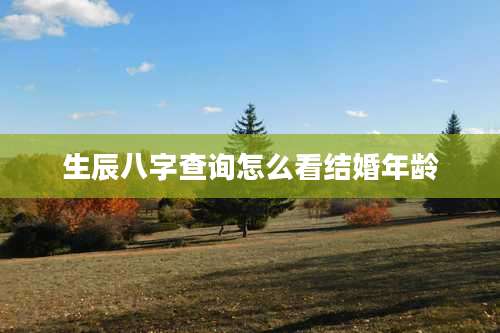 生辰八字查询怎么看结婚年龄
