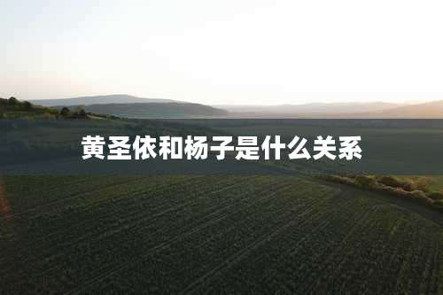 黄圣依和杨子是什么关系